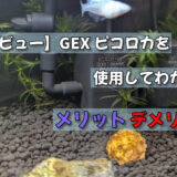 【長期レビュー】GEX ピコロカを使用してわかったメリット・デメリット