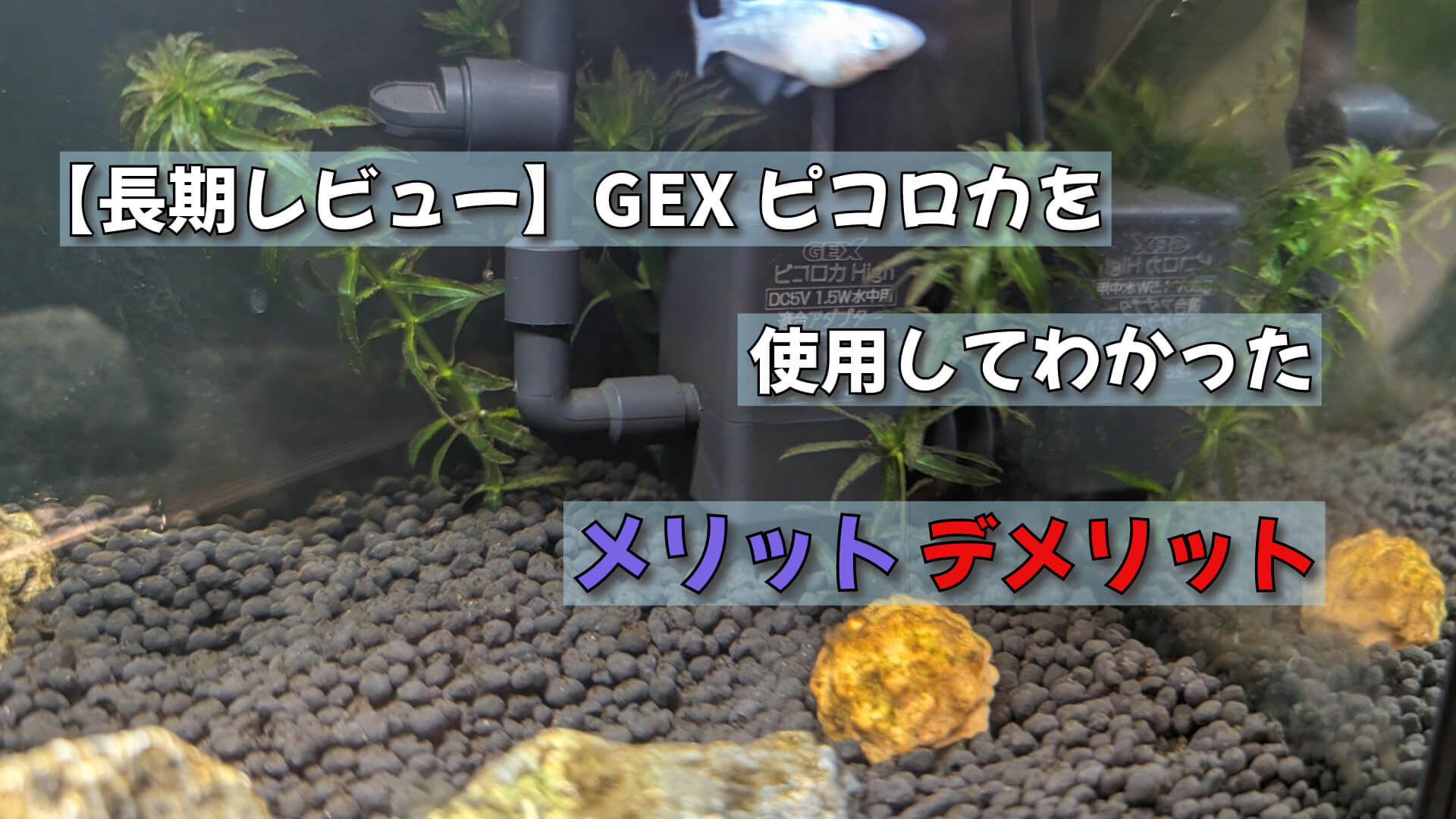 長期レビュー】GEX ピコロカを使用してわかったメリット・デメリット 趣味研究室